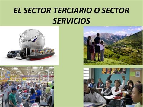 sector terciario - sector cuaternario
